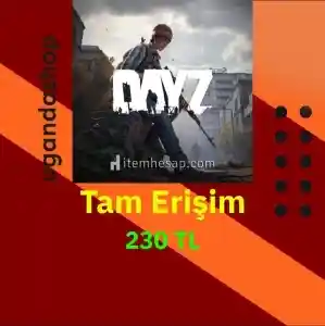 DayZ Tam Erişim