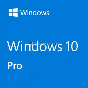 Windows 10 Pro Retail Key 32-64 Bit Türkçe (Elektronik Lisans)