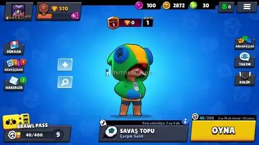 Leonlu yepyeni 635 kupa 12 seviye garantili hesap