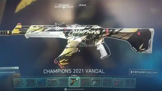 Bol skınlı saglam valo hesabı