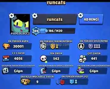 Brawl Stars 2 Brawl pass açılmış 15 ten fazla skin 20000 kupalı hesap