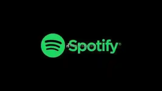 3 aylık Spotify premium hesap