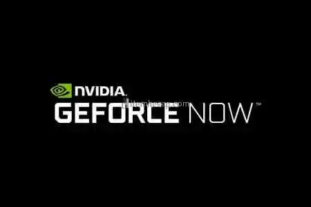 GeForce Now Founders Hesap + Garanti