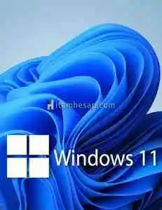 Windows 11 Pro Lisans Anahtarı (Hemen Teslim)