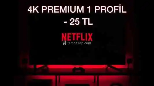 Netflix Premium 4K - 1 Profil