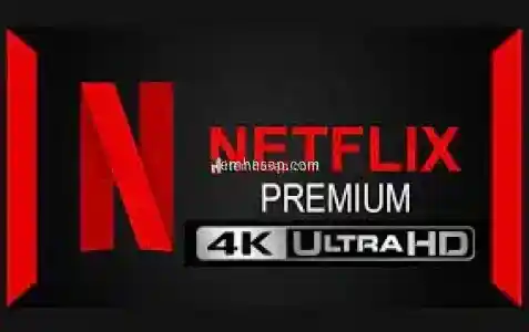 Netflix 1 Aylık 4K Uhd Premium