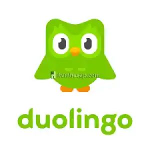 Süresiz Duolingo Plus Üyeliği