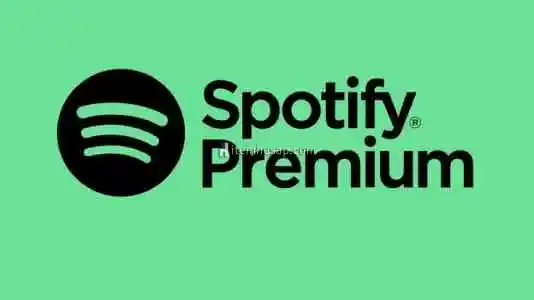 1 Aylık Spotify Premium