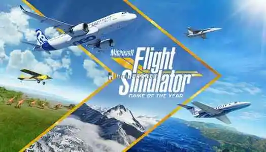 Microsoft Flight Simulator (Online)