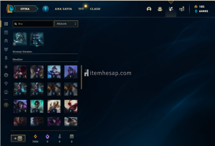 Esnek Plat Tek/Çift Gold Sadece 15 Karakter AÇIK OLMAYAN 98 Adet Kostümlü 64500 Mavi Özlü Hesap