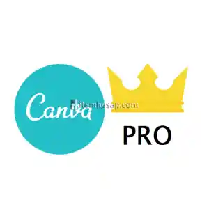 Canva Premium Öğretmen hesabı satılık