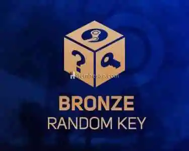Steam Bronze Random Key