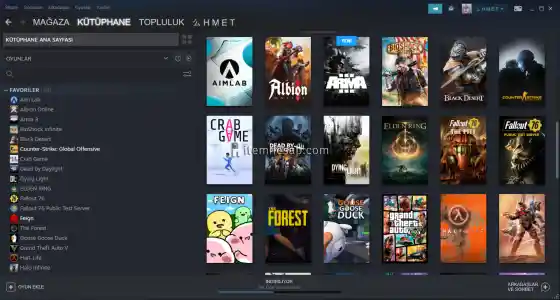 bol oyunlu steam hesabı