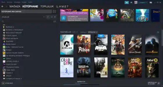 bol oyunlu steam hesabı