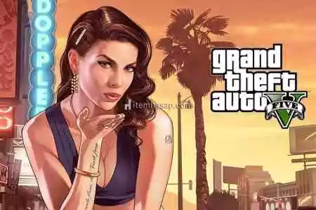 Gta V & Garanti & Destek