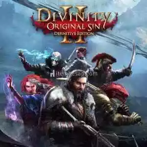 Divinitiy Original Sin II Definitive Edition Offline