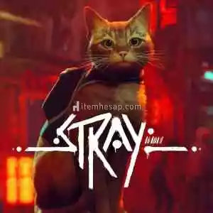 Stray Offline