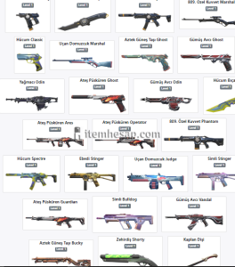 ASİLLİ EJDERLİ KARAMBİTLİ YAĞMACILI ELİT HESAP