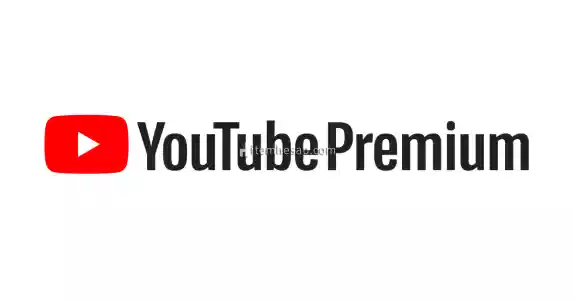 Youtube Premium Aile Yönetici Hesabı