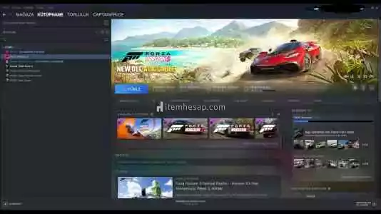 Forza Horizon 5 Olan Steam Hesabı