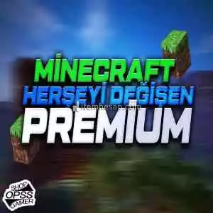 3 Aylık Minecraft Her Şeyi Değişen Hesap