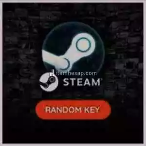 Steam Random Key (Bronze)