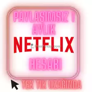 Sadece Size Ait 1 Aylık Netflix Hesabı