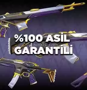 100% Tr Asil Garantili Random Hesap