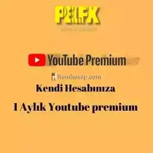 Kendi Hesabınıza 1 Aylık Youtube Premium