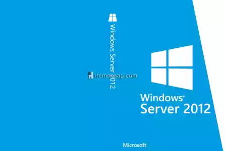 Windows 2012 Server