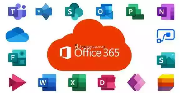 Office 365