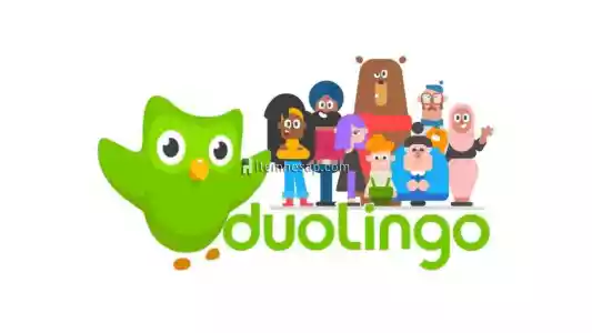 Duolingo Öğretmen