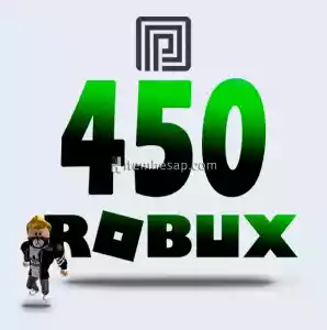 450 Robux + Premium