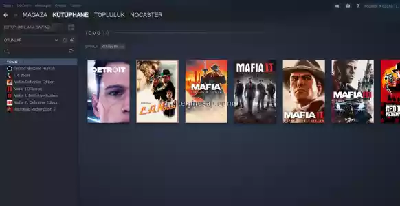 Steam Hesabı+Yüklü Cüzdan