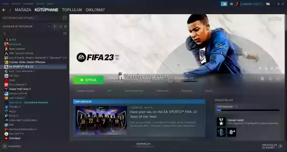 16 Seviye Steam Hesabı Normal Fiyatından Çok Ucuz