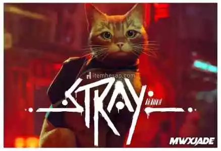 Stray Offline + Garanti Destek