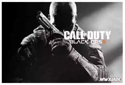 Call Of Duty Black Ops 2 + Garanti Destek