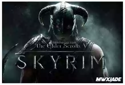 The Elder Scrolls V Skyrim + Garanti Destek