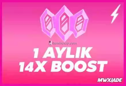 1 Aylık 14X Server Boost / Hızlı Teslim