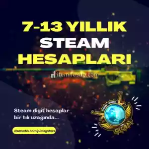 1-19 Yıllık Steam Dıgıt Hesaplar