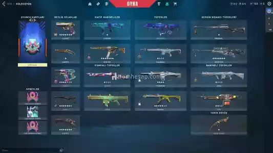 2700Tl Yatırılmış 70 Skinli Mainlik Hesap!!