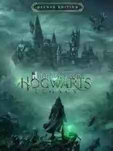 Hogwarts Legacy Deluxe Edition Series X S İade Garantili