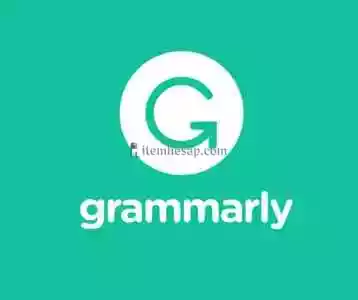 Grammarly 6 Aylık