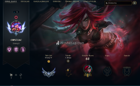 Elle Kasılmış Eski Hesap Acil Satılık