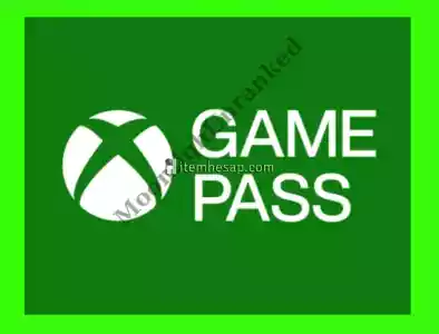 3 Aylık + Garanti Gamepass