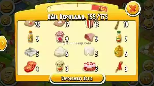 Hayday 30 Levellik Hesap