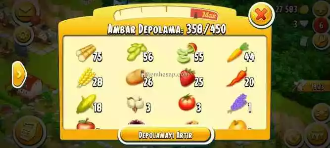 Hayday 44Lvl Bir Çok Dekorasyonlu Hesap