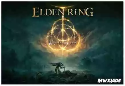 Elden Ring Deluxe Edition + Garanti Destek