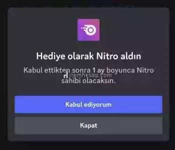 Discord 1 Aylık Nitro