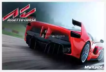 Assetto Corsa + Garanti Destek